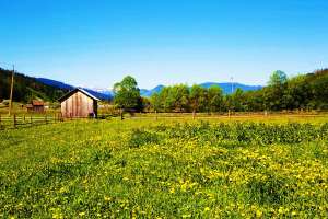 ������� ��������� ���������� ������� � �������� - ����������� 1