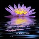 ������� � ����������: �������, ���������� !