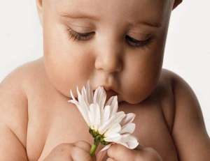 ������� ���������� - ����������� 1