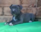 ������� , ����������, � �����������, ����� �� ������� - ����������� 3