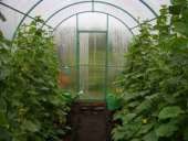 ������� � ����������: ������� ���������� � ������������