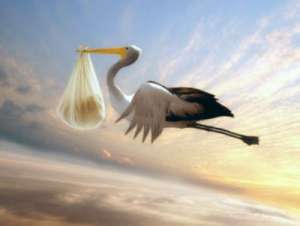 ������� ���������� ���� - ����������� 1