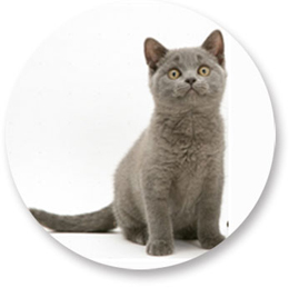 ������� ���������� ����� � ������ � �� � ���������� ��������� �� ��� - ����������� 1