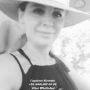 ������� � ����������: �������. ���������� ������. ��������. ��������. ������.