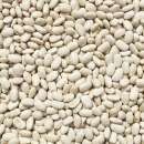 ������� � ����������: ������� ���������� �������