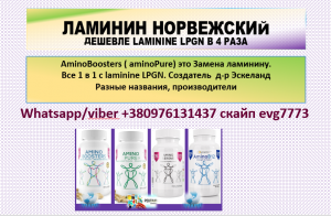 ������� ���������� ������� � 4 ���� ������������� Laminine Lpgn - ����������� 1