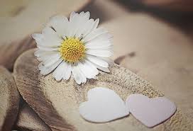 ������� ���������� ������� ��� � ����� �������� - ����������� 1