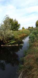 ������� ���������� ������� ��� ����� ��������� � ���� �������, �������� �������, 12 ����� - ����������� 1