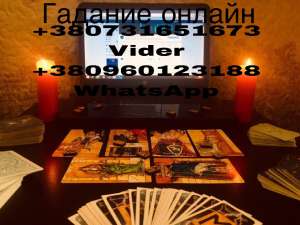 ������� ���������� ������� ������ - ����������� 1