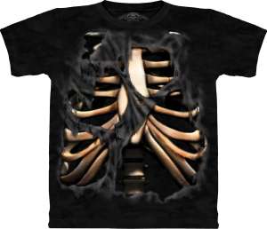 ������� ���������� ���������� ������� - ����������� 1