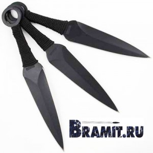 ������� ����������� ���� 3 ����� - ����������� 1