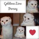 ������� � ����������: ������� ����������� ���� � ������