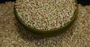 ������� ����������� ����� ������ - ����������� 1