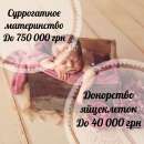 ������� � ����������: ������� �����������. ����� �����������. ����������������� �����, ������� ����������