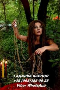 �������. �����������. ������. �����. - ����������� 1