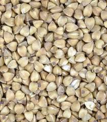 ������� ����������� ������ �����. � ��� - ����������� 1