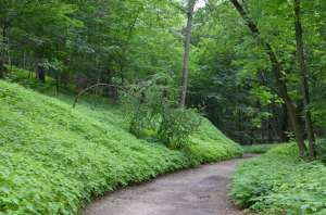 ������� ����������� ������ ��������, ���� ������� � �������. ����� ������ �� ����� ����� ������� �������� � ������� ����� ���� - ����������� 1