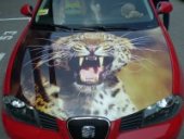 ������� ����������� ������� - ����������� 3