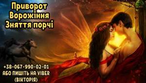 ������� �����������. ��������. ��������. ������ �����. - ����������� 1