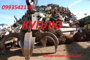 ������� �����������, ��������� - ����������� 1