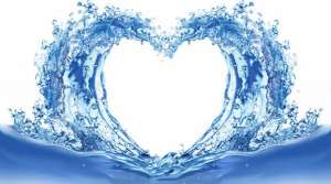 �������. ����������� ���������. ������� �� ����, ������� - ����������� 1