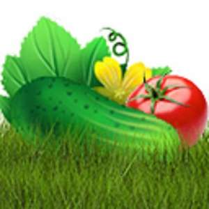 ������� ����������� ��������� �������� - ����������� 1