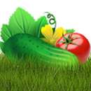 ������� � ����������: ������� ����������� ��������� ��������