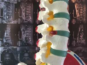 ������� ������������ � ��������. - ����������� 1