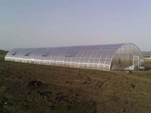 ������� ������������ �� �������������. - ����������� 1