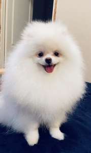 ������� ������������ ����� - ����������� 1