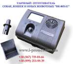 ������� � ����������: ������� ������������ ����� � �������� ��������