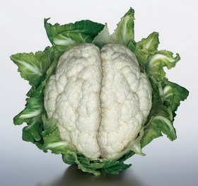 ������� ������������ ������ - ����������� 1