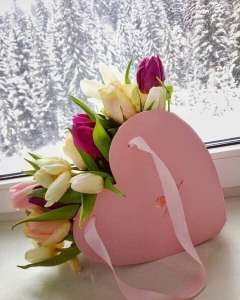 ������� , ������������ , ������ � ������ - ����������� 1