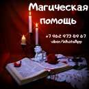 ������� � ����������: �������. ������������. ������ ������ ������.