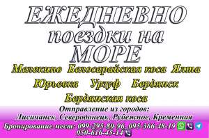 ������� ������������ -�������� - ����������� 1