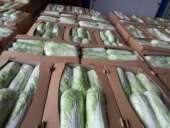 ������� � ����������: ������� ������������ - �������� �� �������