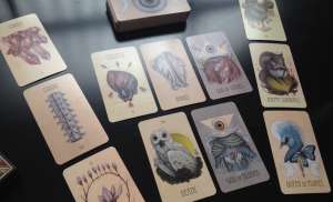 �������. ������������ �������� ��� ����� � �������� - ����������� 1