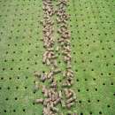 �������, ������������, ������������, ������� ������ - ����������� 1