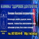 ������� � ����������: ������� ������������, ������-������������� �������� ����