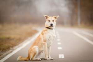 �������, ������-������� � ���, 1 ��� - ����������� 1