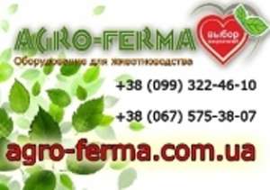 ������� ������������� ������ � ���������� ��� ��������. - ����������� 1