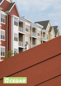 ������� �������������� Cedar, S 1040-Y50R - ����������� 1