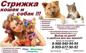 ������� ��������,������� ����� � �����,������� �����,���������� ��� ����� ����� �� ��� - ����������� 1