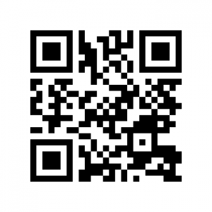 ������� ��������������� ������� - ����������� 1