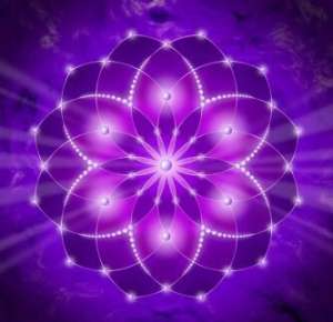 �������, �����������.����� 50���.������� - ����������� 1