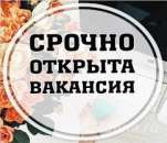 ������� ��������-��������. ������� � ������� - ������