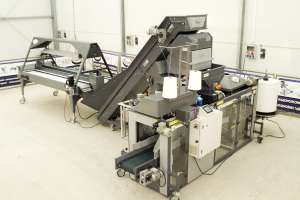 ������� �������+��������� ������ � ������-����� (2-���.) - ����������� 1