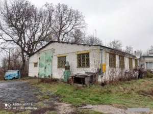 ������� ����������������� ���������, �������� - ����������� 1