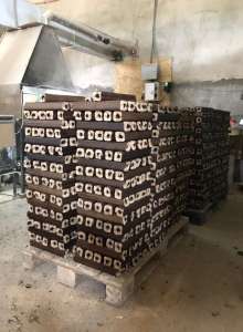 ������� ������������!������! - ����������� 1