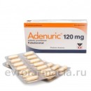 ������� � ����������: �������� 120 �� 28 �� (����������)